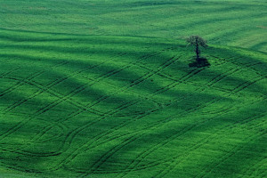 martini-val-orcia-02