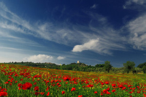 martini-val-orcia-03