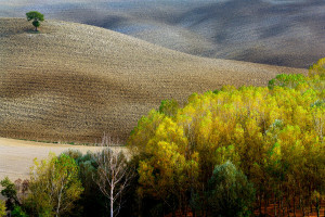 martini-val-orcia-06